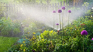 Ihr Garten vom Profi