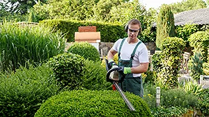 Gartenpflege Gartenpflege